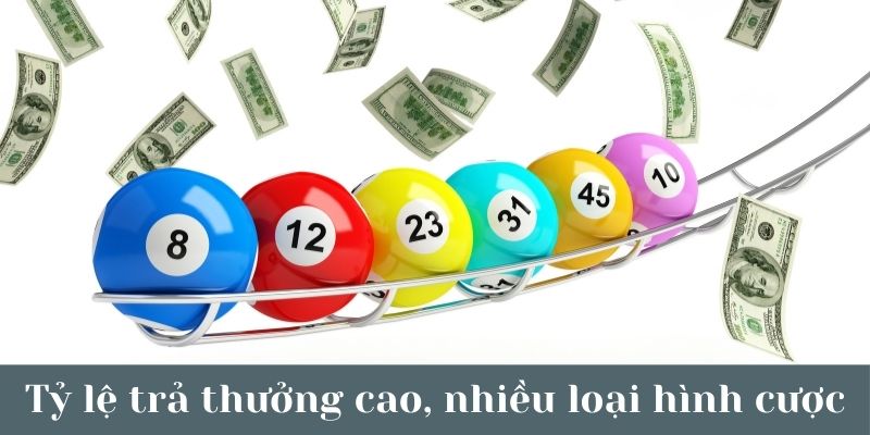 Tỷ lệ trả thưởng cao và đa dạng loại hình cược, mang đến vô vàn cơ hội thắng lớn