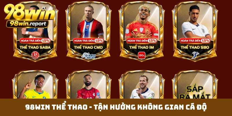 98win-the-thao