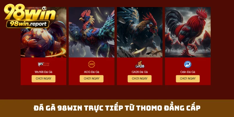 da-ga-98win-truc-tiep-tu-thomo-dang-cap