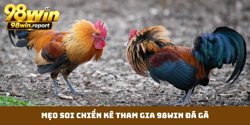 meo-soi-chien-ke-tham-gia-98win-da-ga