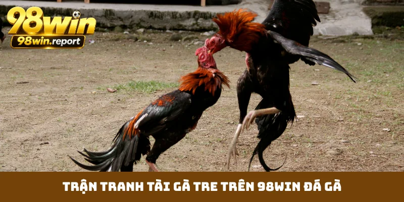 tran-tranh-tai-ga-tre-tren-98win-da-ga